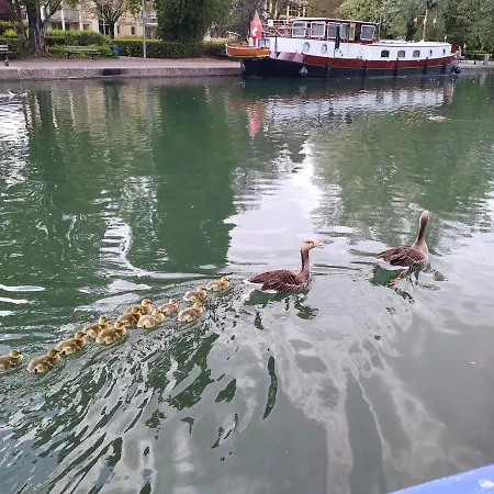 Insolite, Peniche En Plein Coeur De Dijon. * Dijon